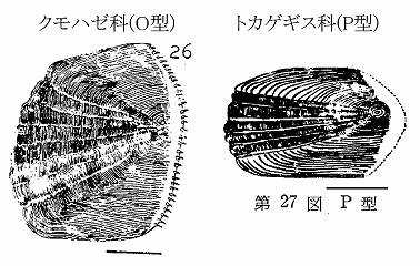イメージ 10