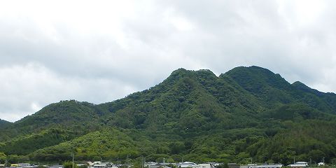 イメージ 2