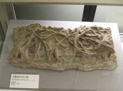 イメージ 3