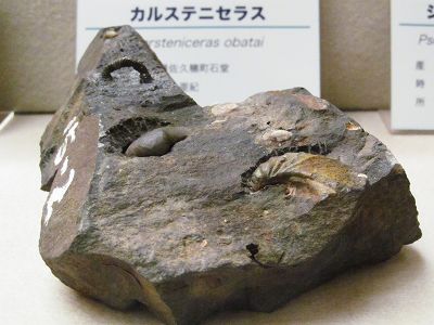 イメージ 6