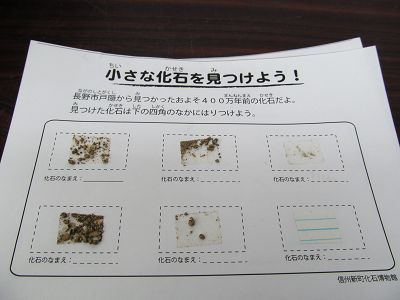 イメージ 4