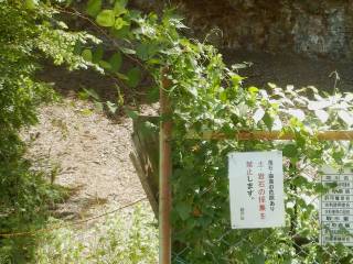 採集禁止の玄能石産地