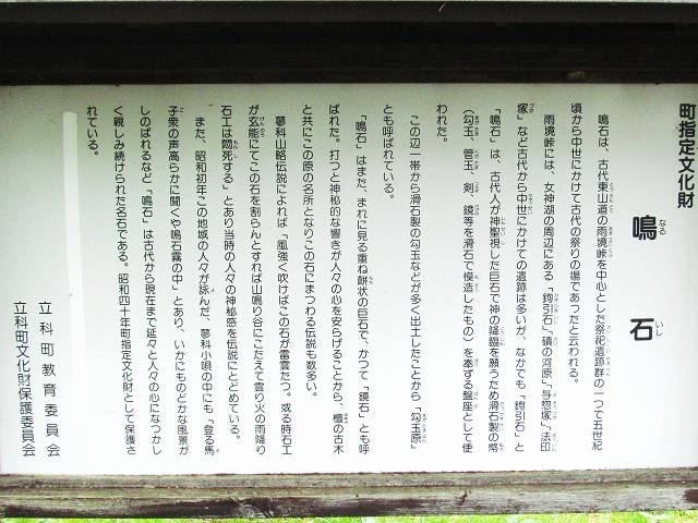 イメージ 5