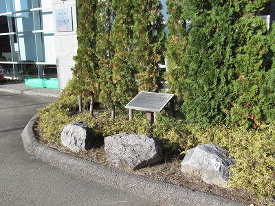 イメージ 6