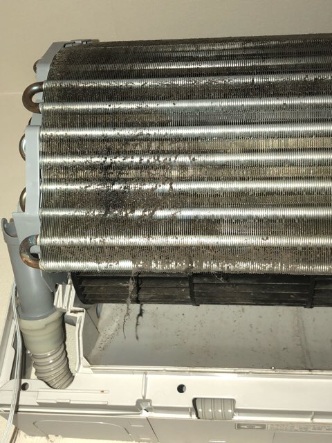 f:id:kengo1983:20180704171357j:plain