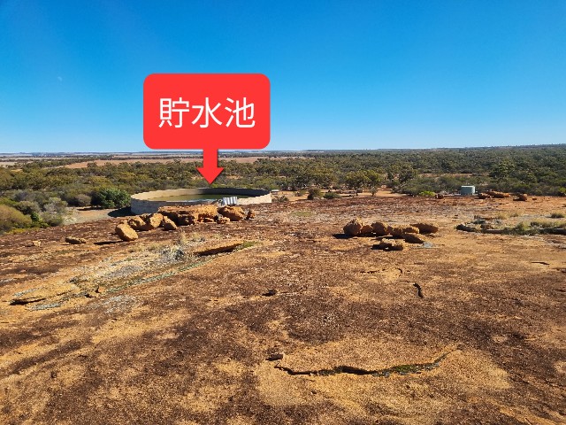 f:id:kengyonouka:20230703140240j:image