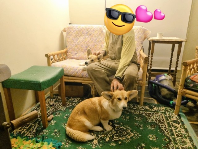 f:id:kengyonouka:20241214131025j:image