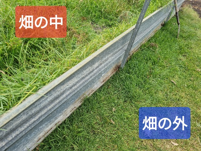 f:id:kengyonouka:20250331223355j:image