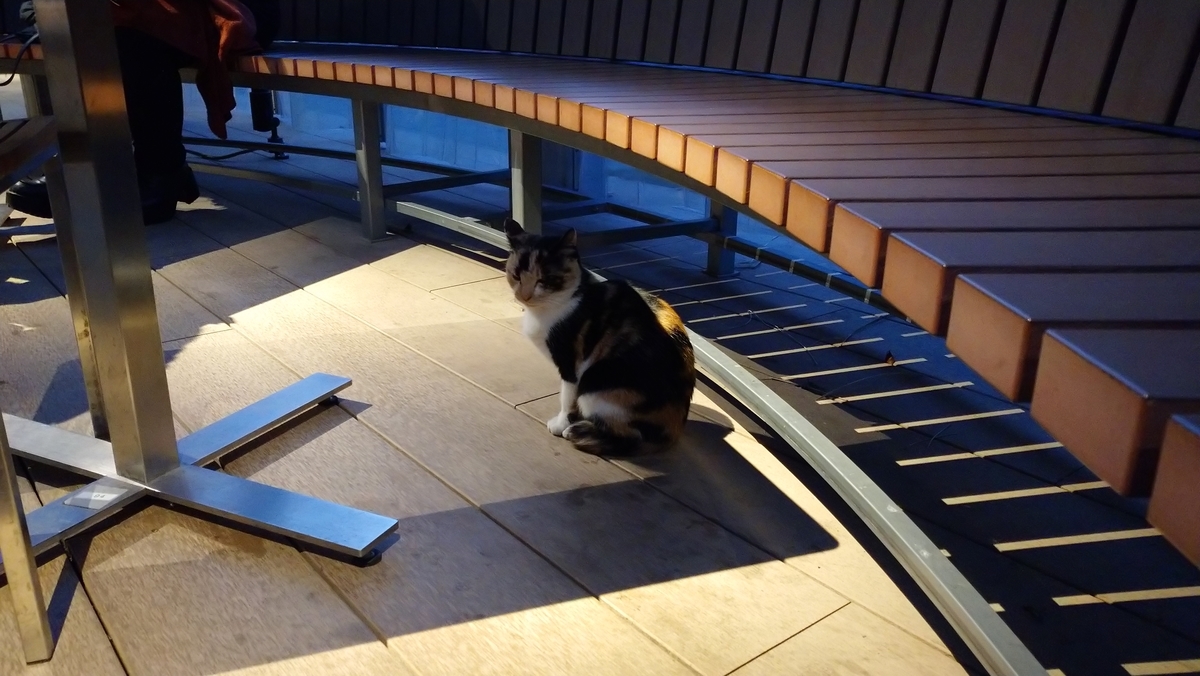 f:id:kenhmhr:20191130014557j:plain f:id:kenhmhr:20191130014557j:plain