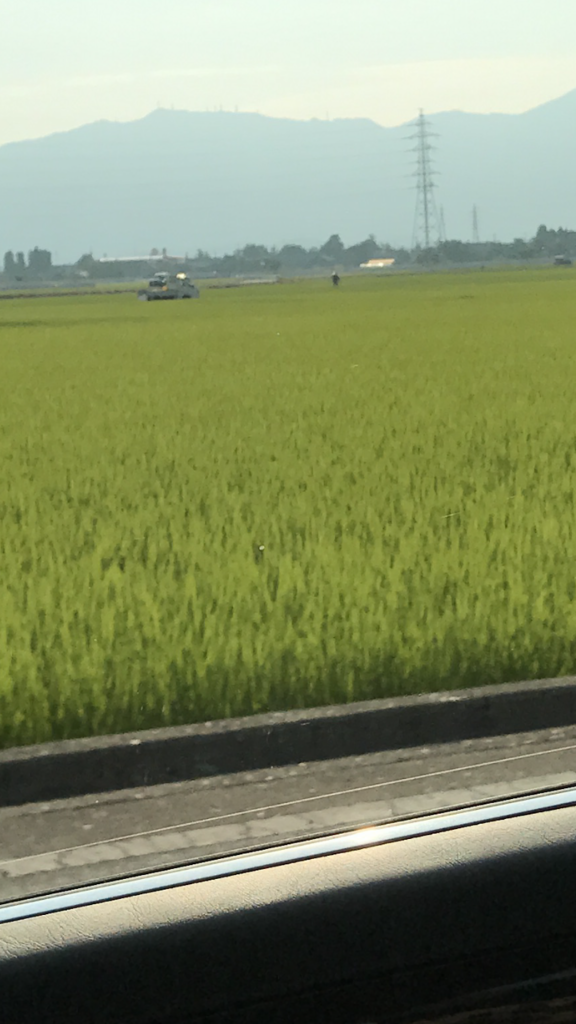 f:id:kenichi6282:20170715173557p:plain
