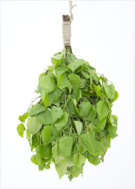 f:id:kenichirouk:20190415214251j:plain