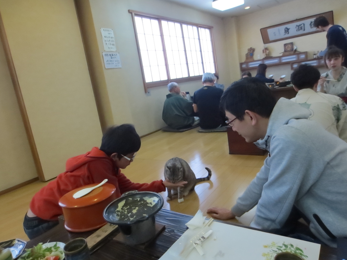f:id:kenichirouk:20190521222535j:plain