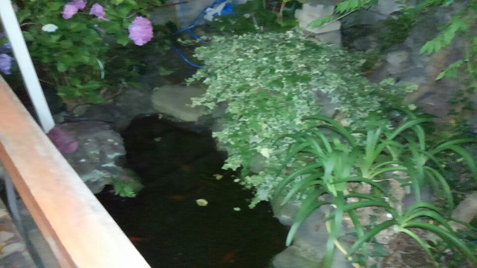 f:id:kenichirouk:20190617231222p:plain