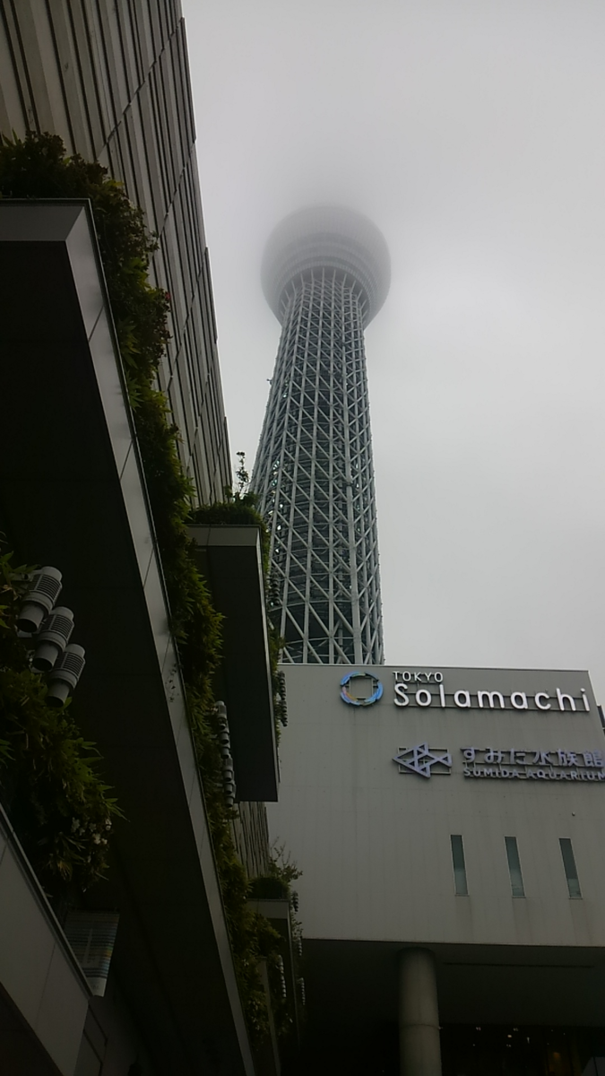 f:id:kenichirouk:20190629222644p:plain