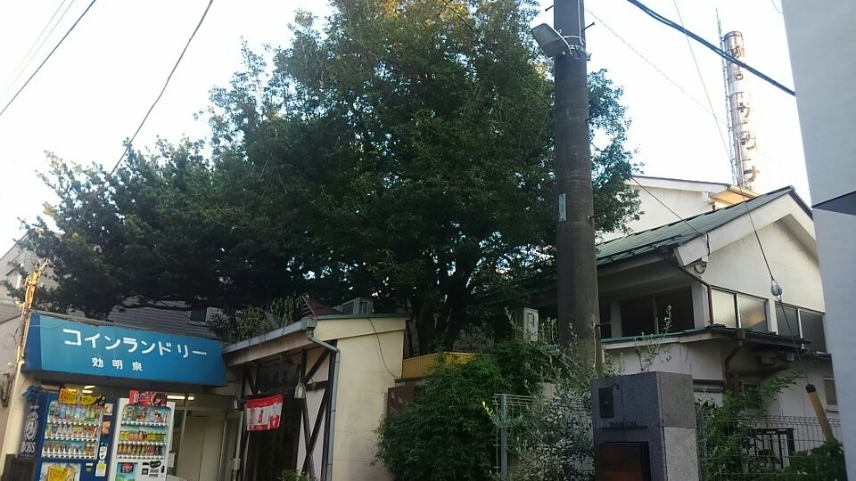 閉店銭湯お別れ編 効明泉 祐天寺 湯活レポート 銭湯編 Vol56 湯活のススメ