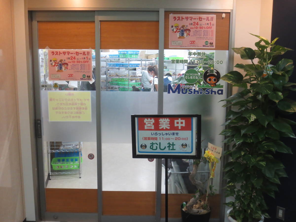 f:id:kenichirouk:20190901211426j:plain f:id:kenichirouk:20190901211426j:plain