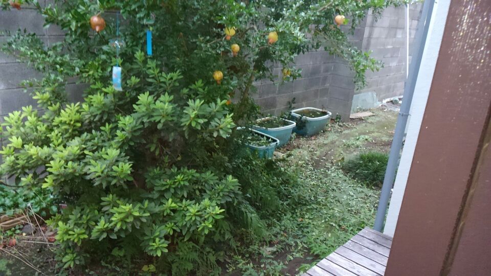 f:id:kenichirouk:20190923063219j:plain