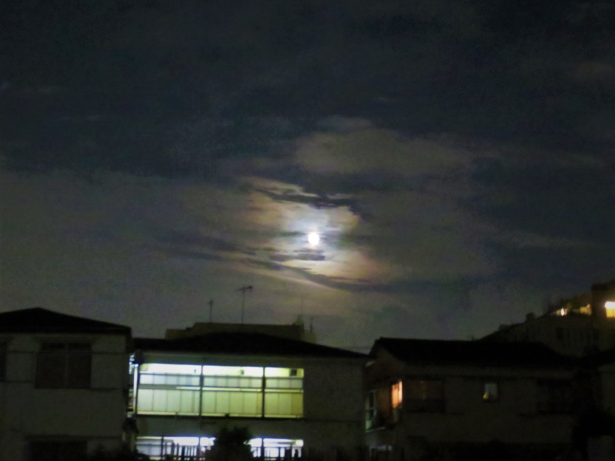 f:id:kenichirouk:20191114000838j:plain