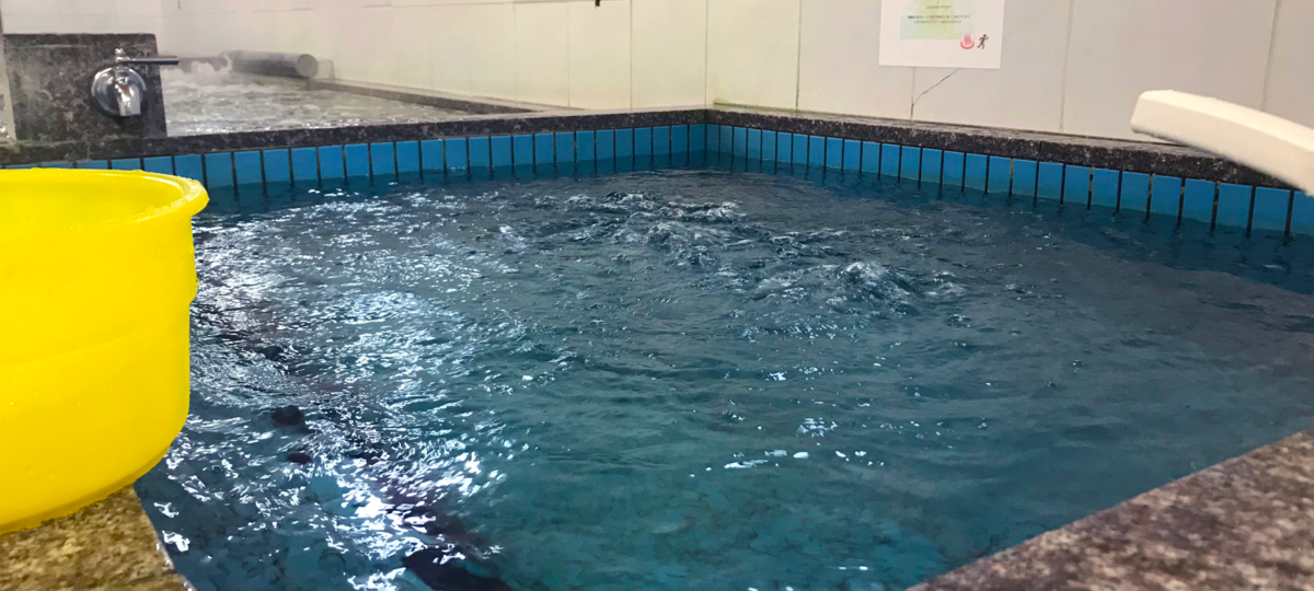 f:id:kenichirouk:20200116002208p:plain