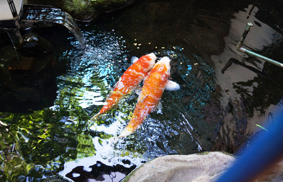 f:id:kenichirouk:20200708113014j:plain f:id:kenichirouk:20200708113014j:plain