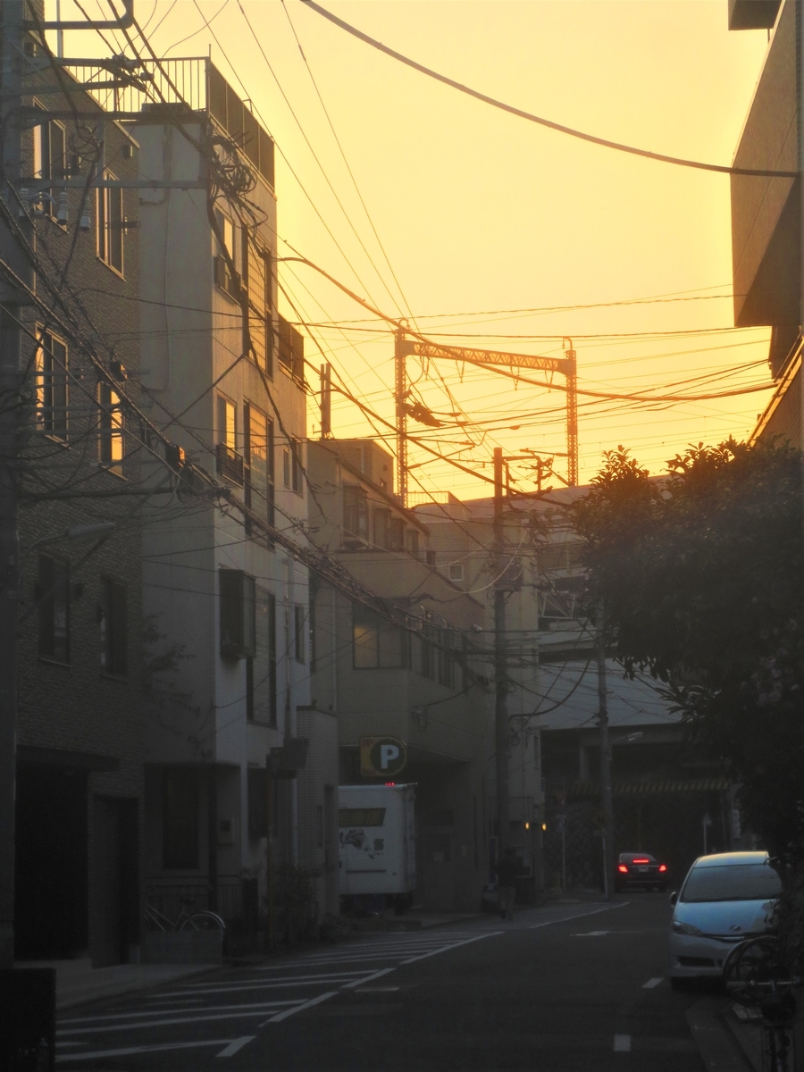 f:id:kenichirouk:20201116220543j:plain