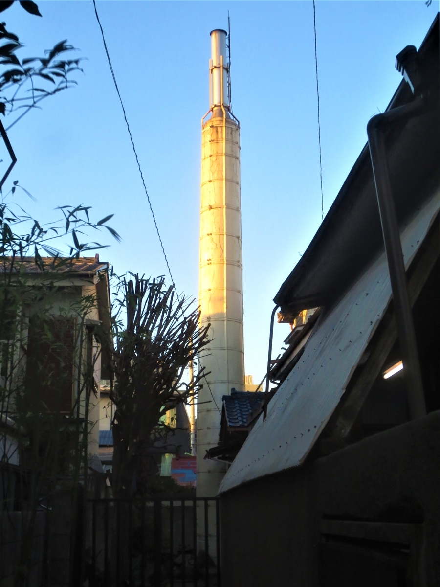 f:id:kenichirouk:20210120195641j:plain