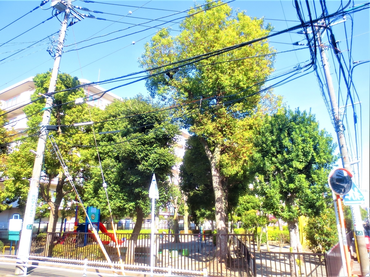 f:id:kenichirouk:20210227214049j:plain