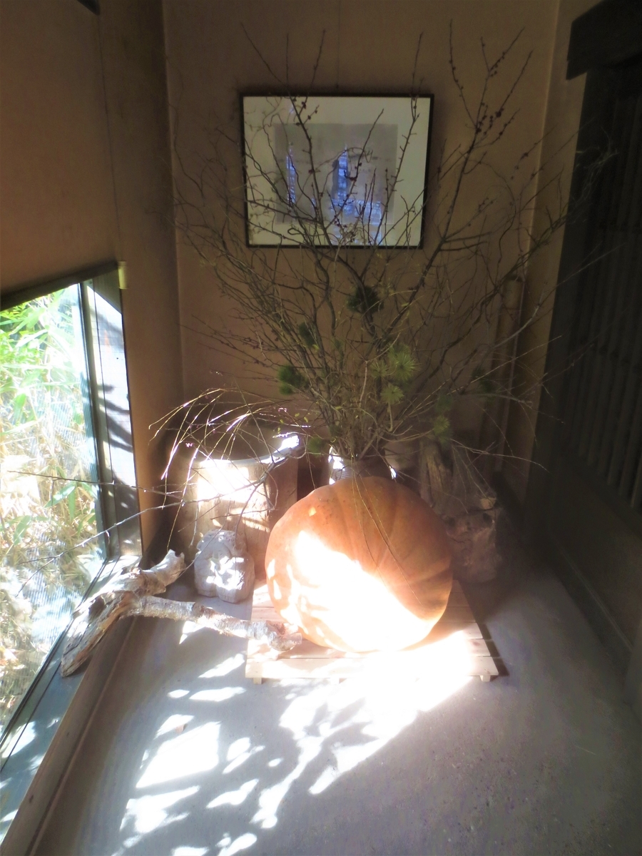 f:id:kenichirouk:20210227214629j:plain