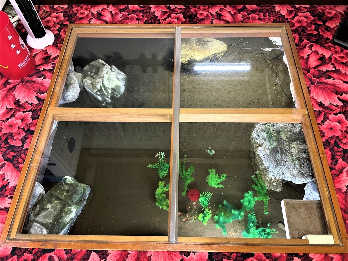 f:id:kenichirouk:20211104072945j:plain