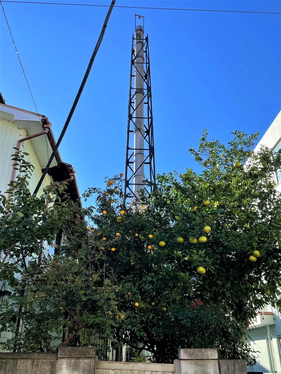 f:id:kenichirouk:20211112103945j:plain