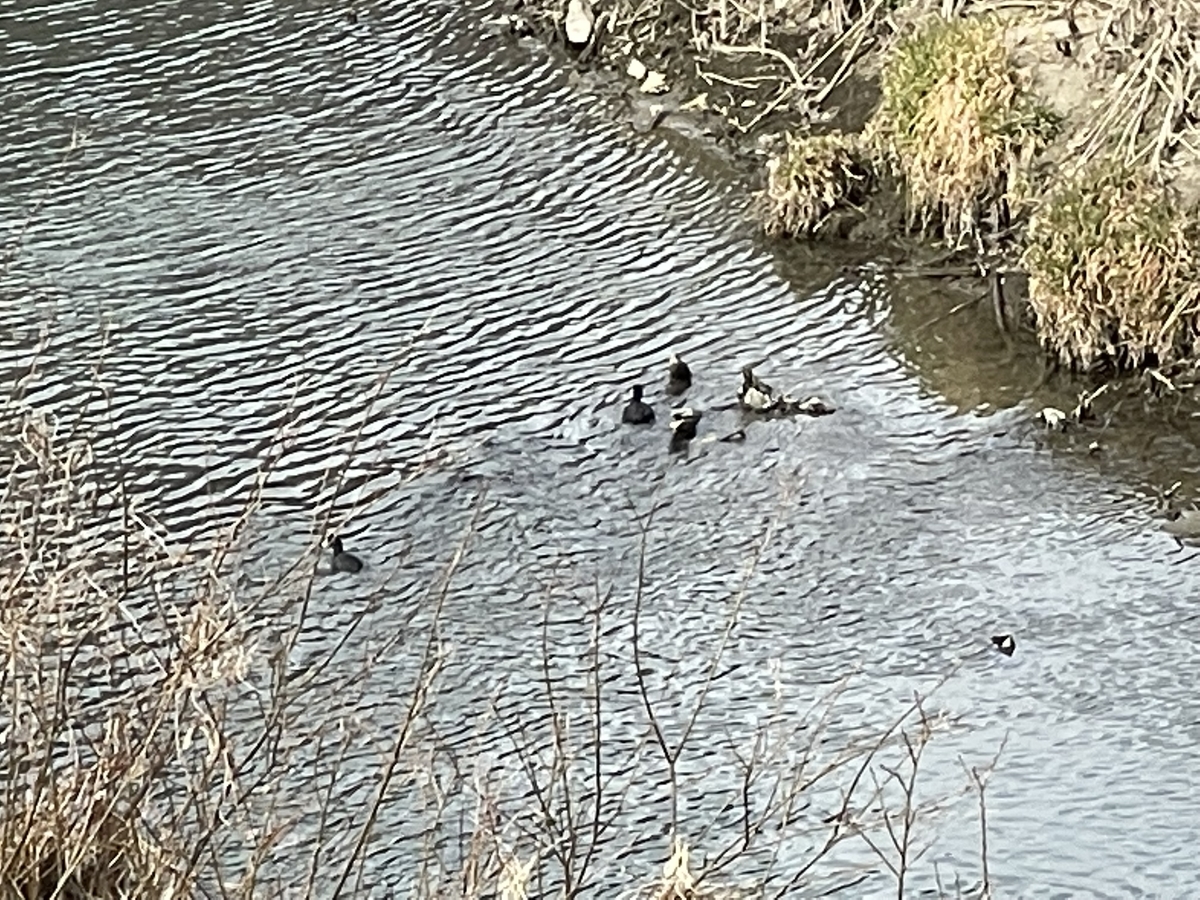 f:id:kenichirouk:20220207071336j:plain