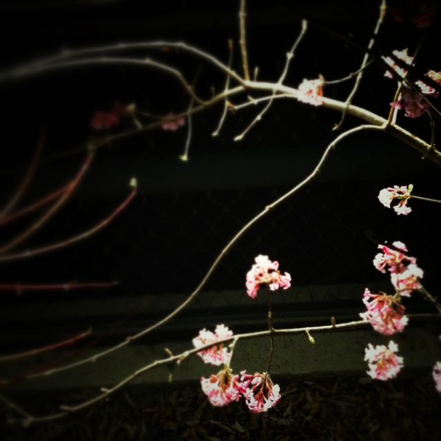 f:id:kenji0521:20130421075004j:image f:id:kenji0521:20130421075004j:image