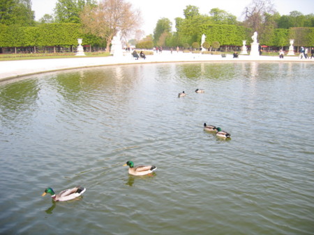 20080411171608