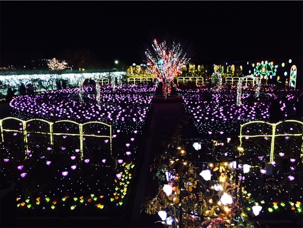 f:id:kenjimodoki:20161214223737j:image f:id:kenjimodoki:20161214223737j:image