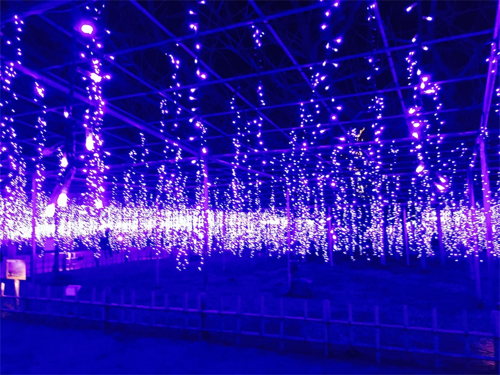 f:id:kenjimodoki:20161214223835j:image f:id:kenjimodoki:20161214223835j:image