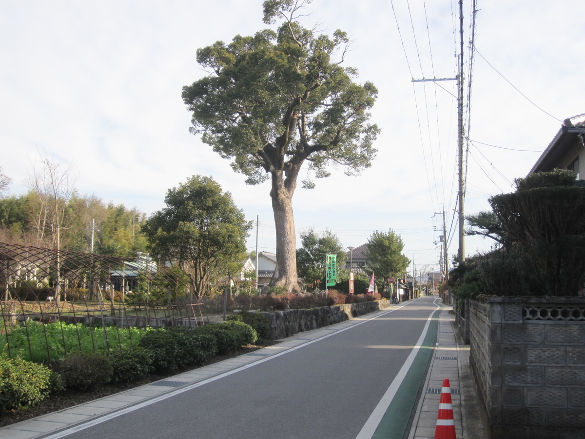 f:id:kenjiro-kun:20190816103120j:plain f:id:kenjiro-kun:20190816103120j:plain