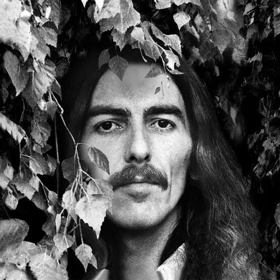 f:id:kenjironius:20200903044057j:image