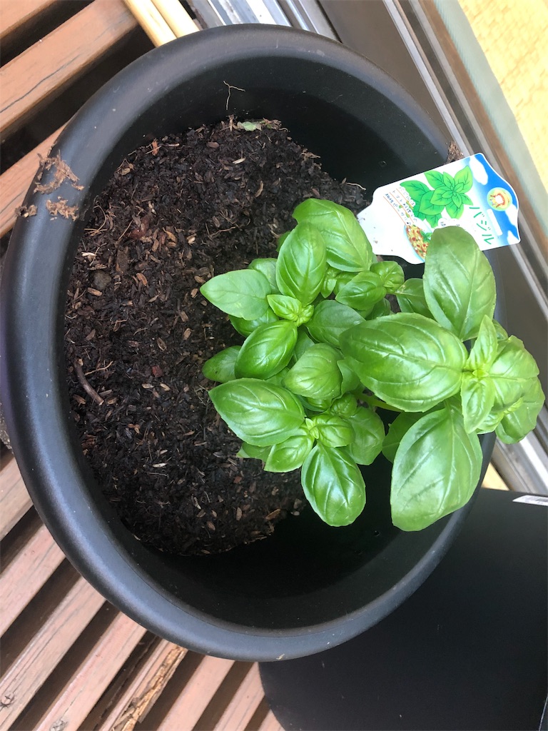 f:id:kenjitsu:20190507214333j:image