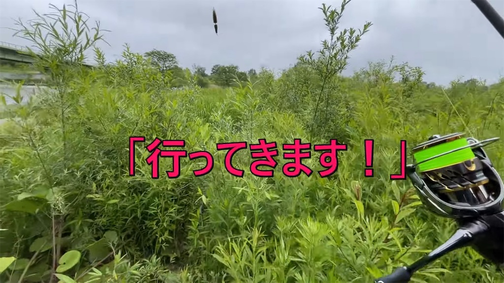 f:id:kenkeito:20230124131940j:image f:id:kenkeito:20230124131940j:image