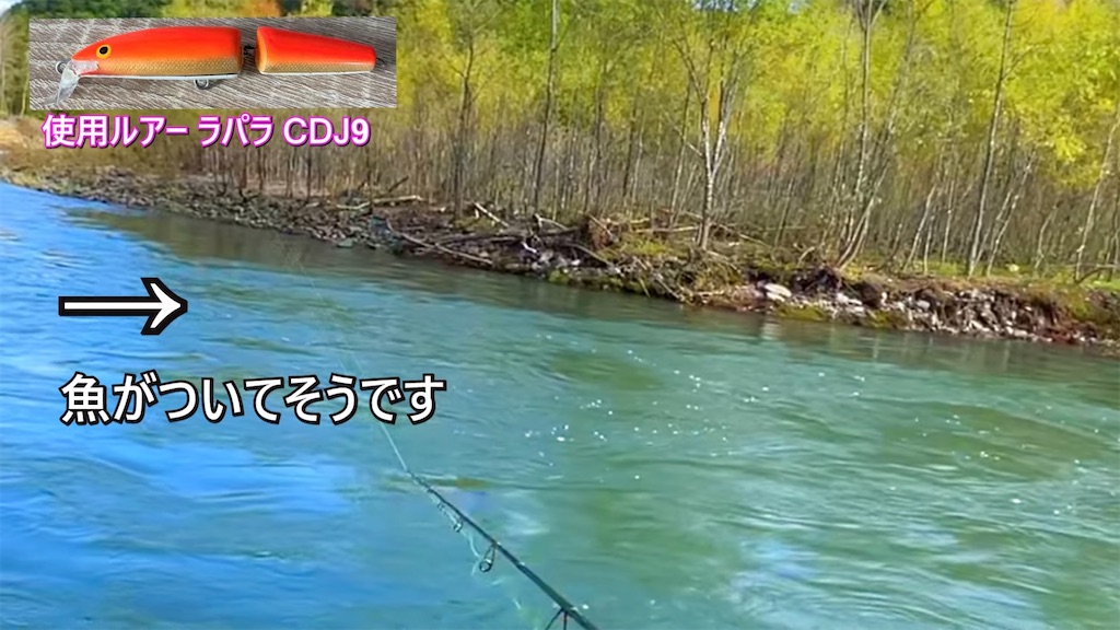 渓流　本流　湖　ルアー9個セット　トラウト　ケース付き　川釣り　湖釣り　海釣り 渓流 本流 湖 ルアー9個セット トラウト ケース付き 北海道】冬の