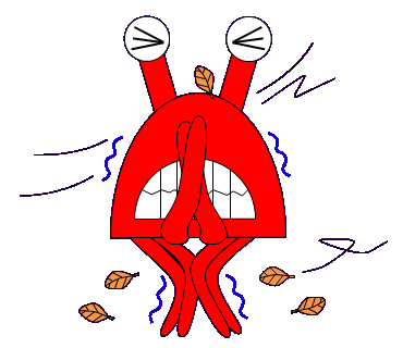 寒くてもシャワーだけで温まる 超簡単3ポイント けんべぇだぁ 寒くてもシャワーだけで温まる 超簡単3ポイント けんべぇだぁ