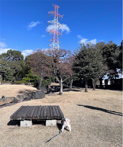 f:id:kenken8383:20260103223533j:image