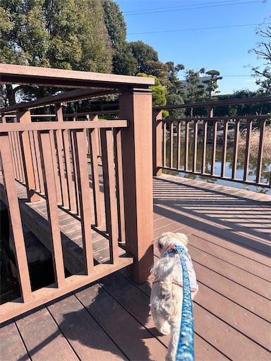 f:id:kenken8383:20260104173326j:image