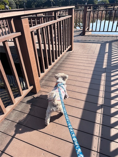 f:id:kenken8383:20260104173330j:image