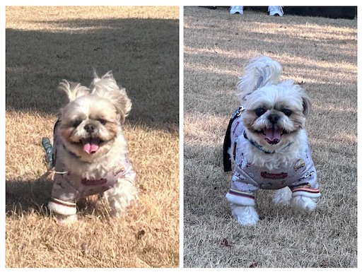 f:id:kenken8383:20260104173720j:image