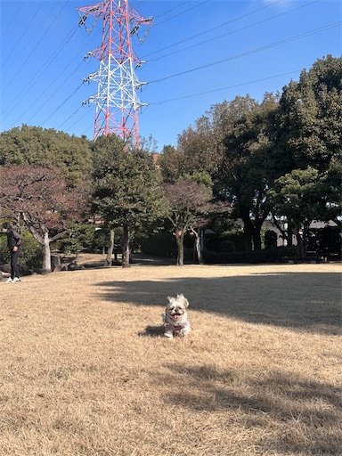 f:id:kenken8383:20260104174246j:image