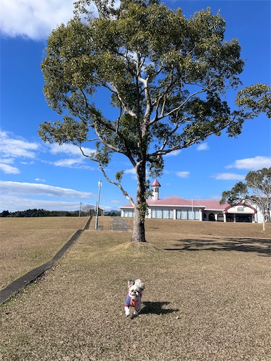 f:id:kenken8383:20260111224754j:image