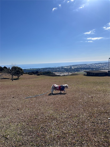 f:id:kenken8383:20260111225112j:image