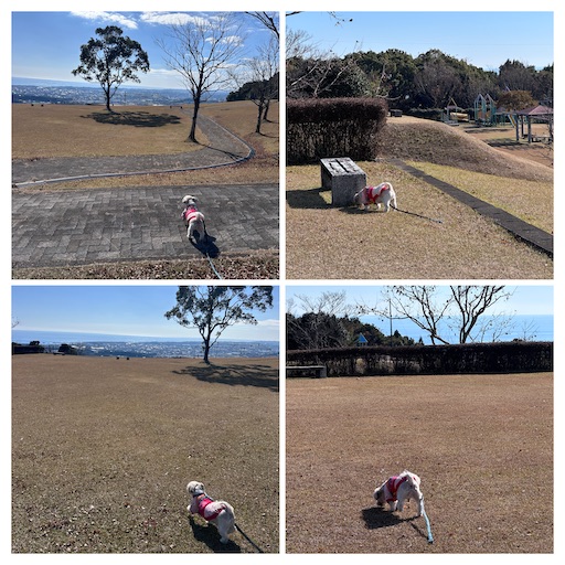 f:id:kenken8383:20260111225632j:image