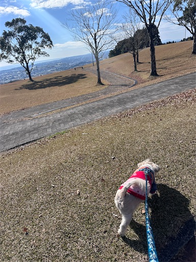 f:id:kenken8383:20260111225857j:image